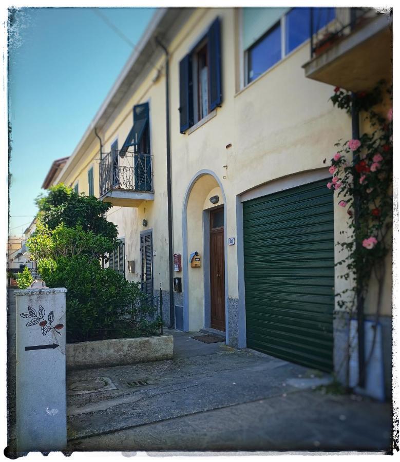 Lo Zizzolo- Bed&Breakfast Bed & Breakfast Marina di Campo Exterior photo